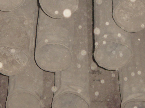 &#19975;&#35937;&#22478;&#40;&#20013;&#22269;&#41;&#87;&#97;&#110;&#120;&#105;&#97;&#110;&#103;&#99;&#104;&#101;&#110;&#103;